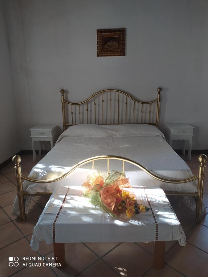 Bed and Breakfast La Rosa Selvatica Ravarino Exteriér fotografie