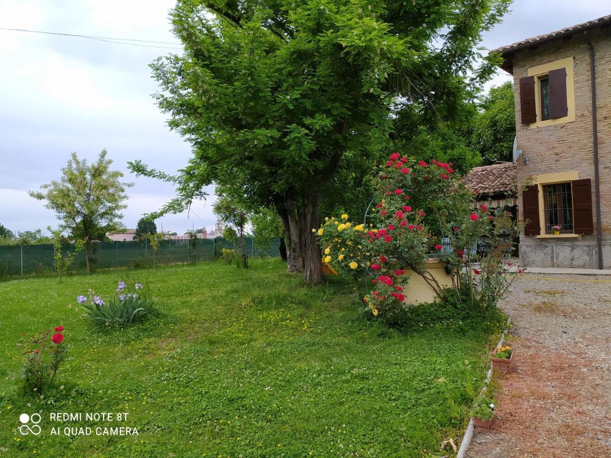 Bed and Breakfast La Rosa Selvatica Ravarino Exteriér fotografie