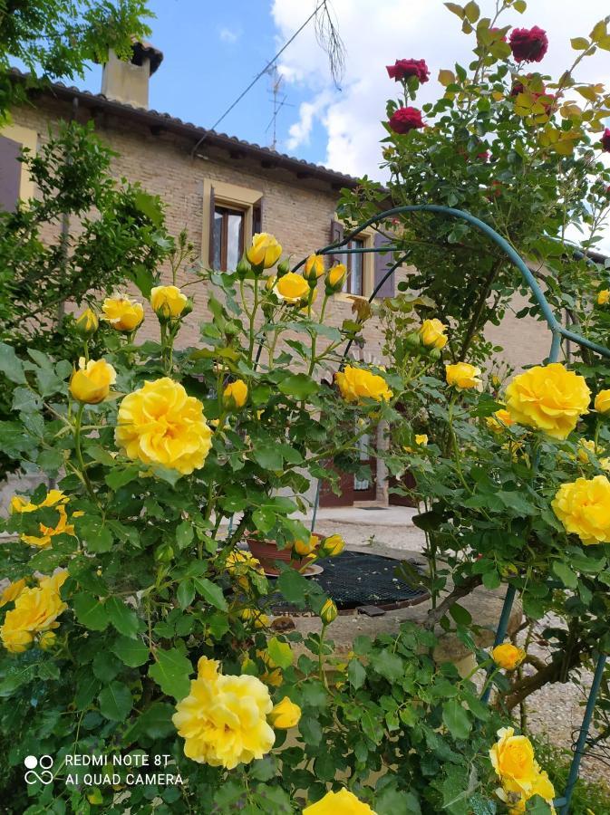 Bed and Breakfast La Rosa Selvatica Ravarino Exteriér fotografie