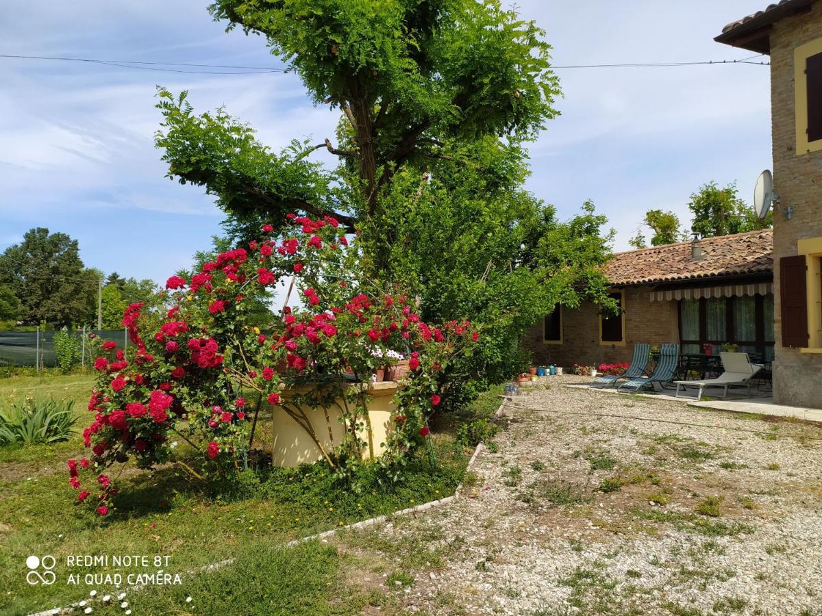Bed and Breakfast La Rosa Selvatica Ravarino Exteriér fotografie